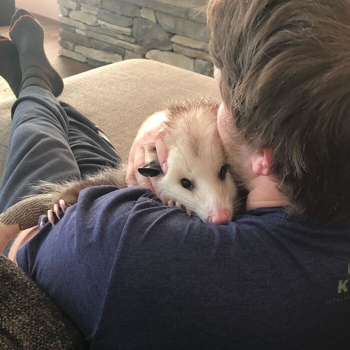    &quot;,   ,   &quot;