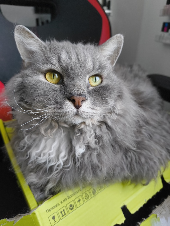  yjubherb  &quot;,   ,   &quot;