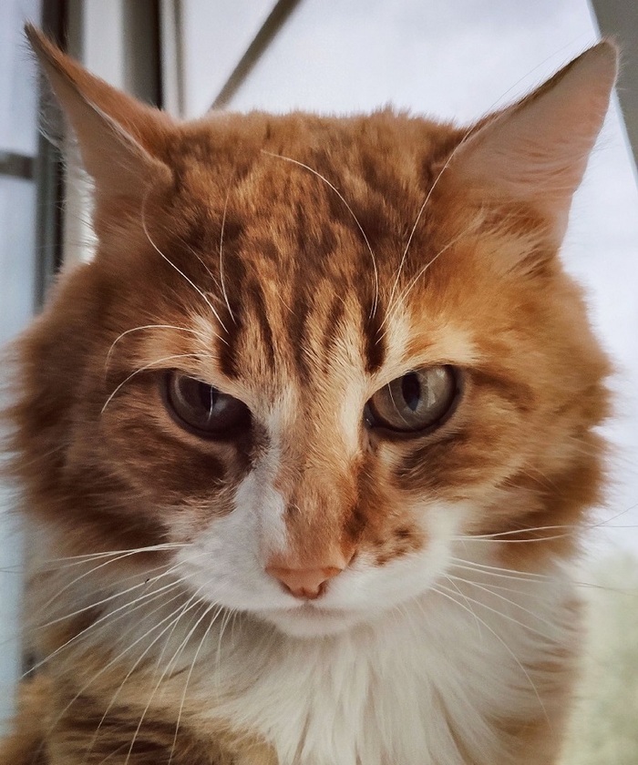  yjubherb  &quot;,   ,   &quot;