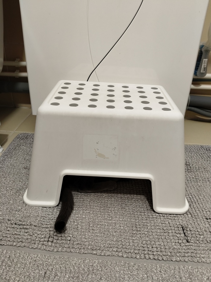 "�����������, ��� �� ����������, ������� ���� ����"