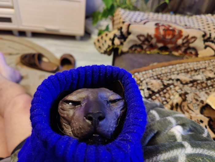  dyamorph  &quot;,   ,   &quot;