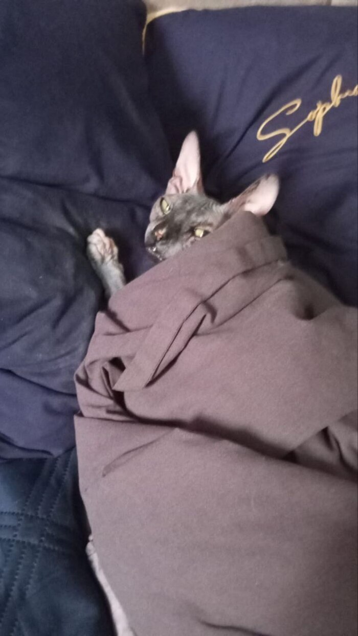    &quot;,   ,   &quot;