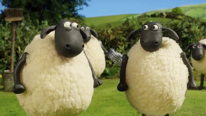 ������������