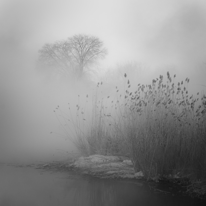 Туманное утро на канале Орловского водохранилища