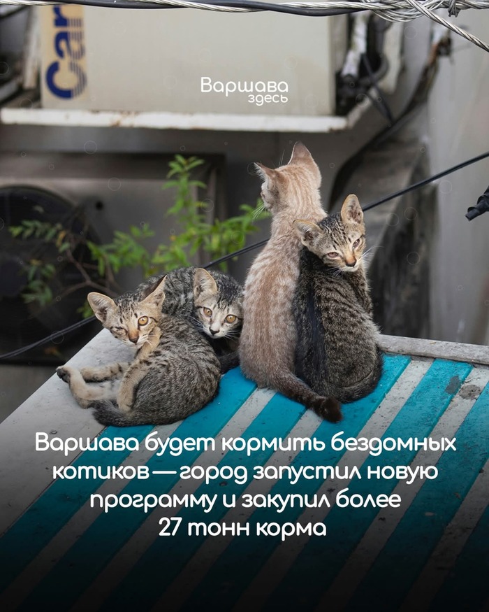 Неожиданный поворот