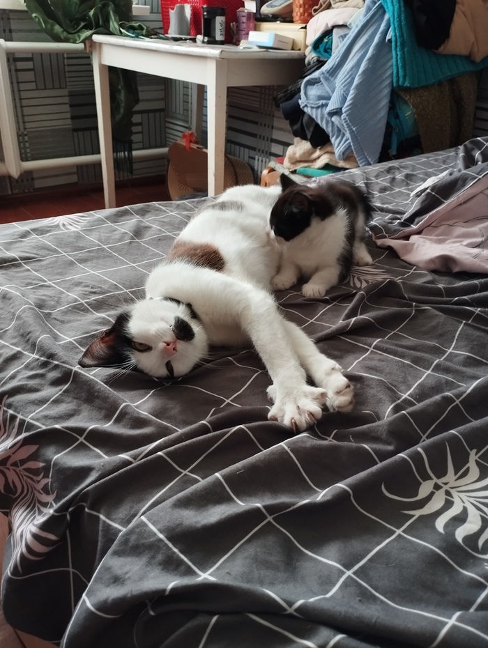 Лежим, кайфуем:)