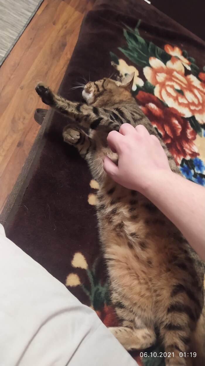 А это уже балдеем дома