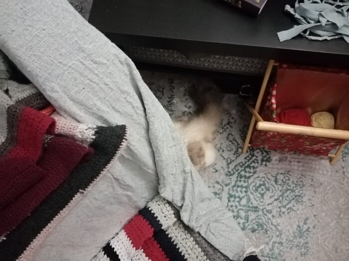    &quot;,   ,   &quot;