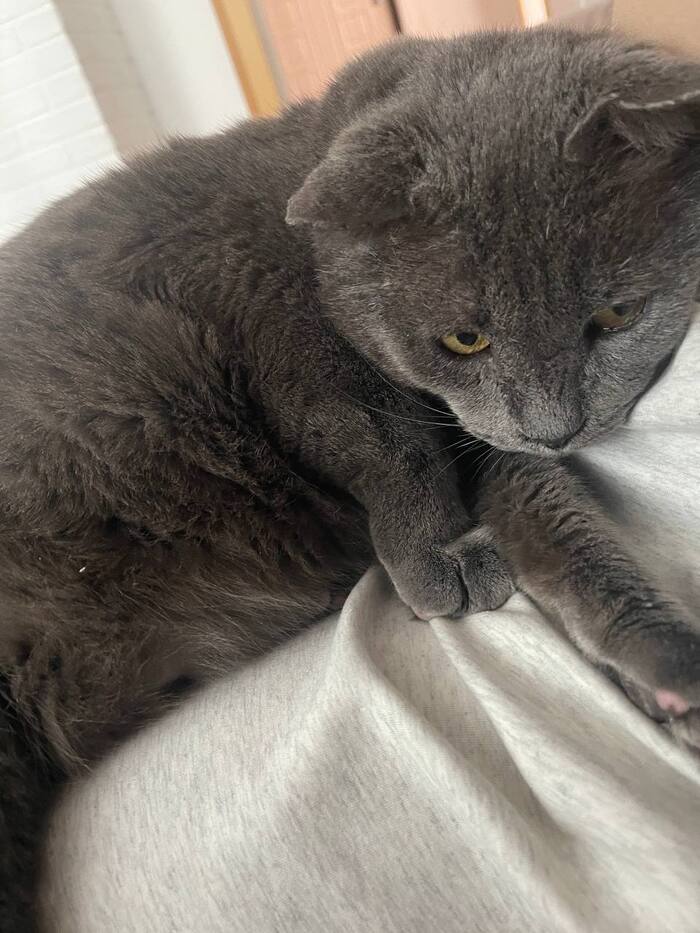    &quot;,   ,   &quot;