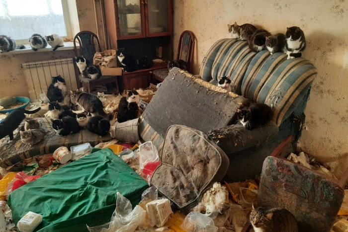    &quot;,   ,   &quot;