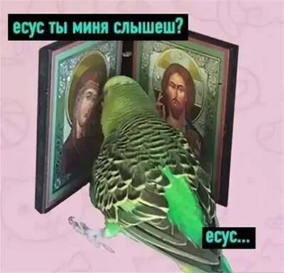 Иллюстрация к комментарию