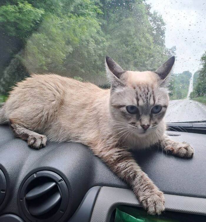 Странно..., лежу на месте, а вокруг всё несётся. Как это понимать?