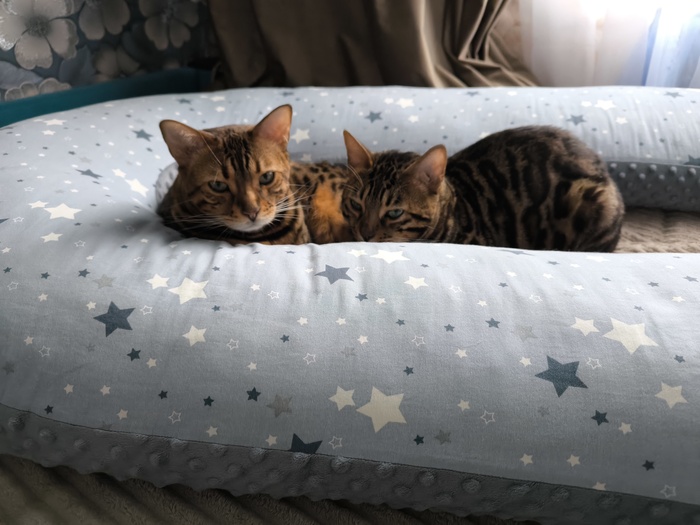 Чтото замышляют