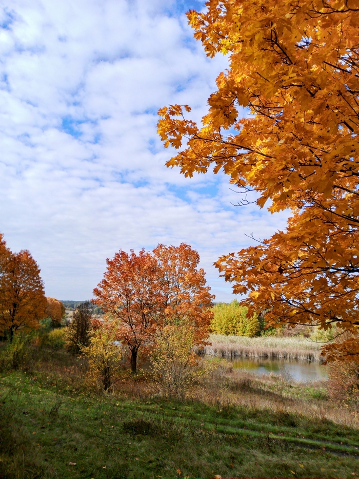 Осень в октябре