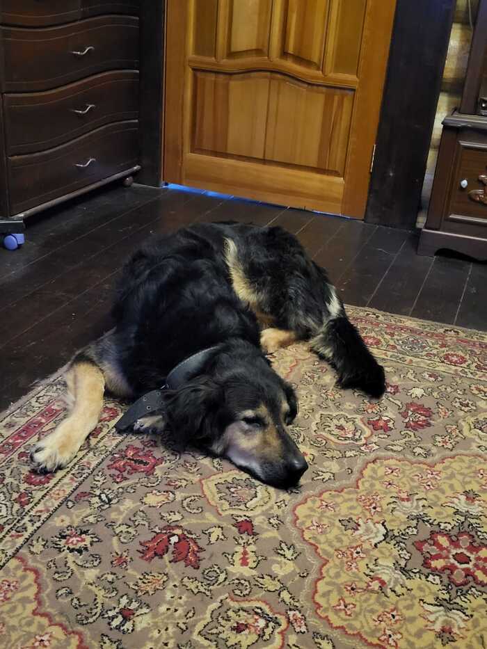 Разве он не красавчик?