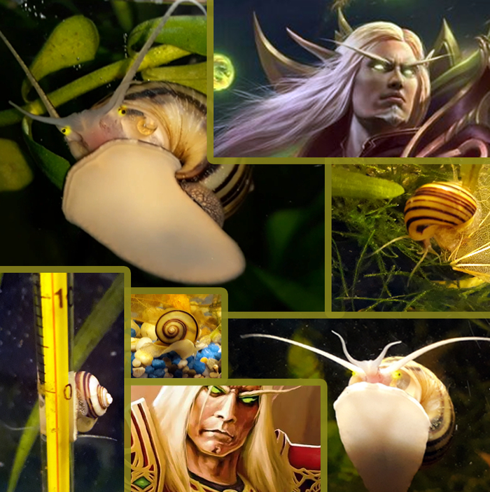 Одно лицо, одни эмоции)