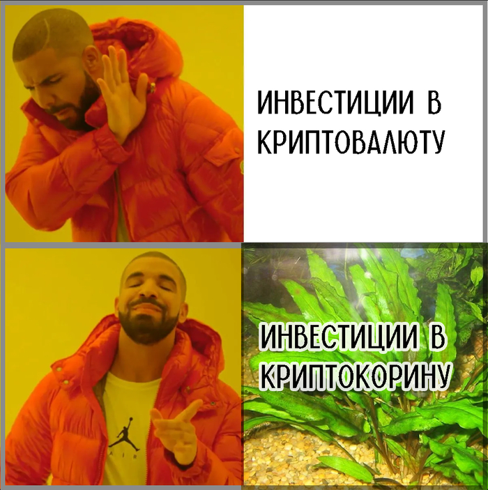 Вкладываю с умом =)