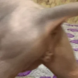 ghoma