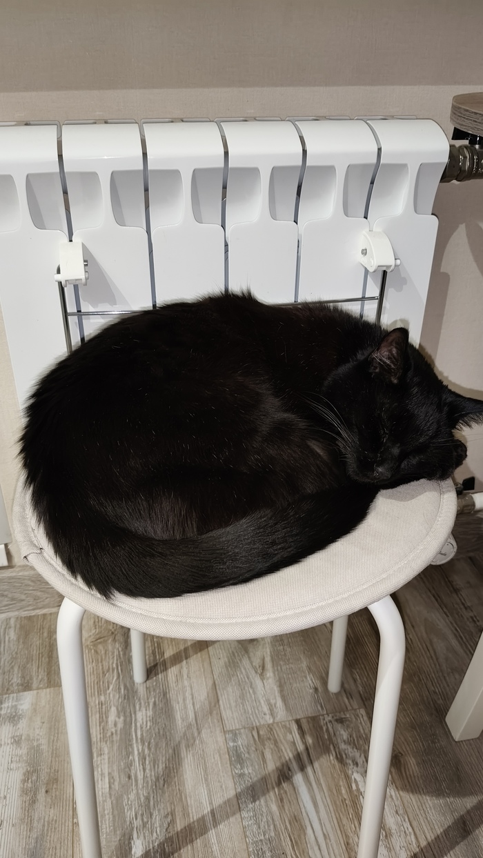    &quot;,   ,   &quot;