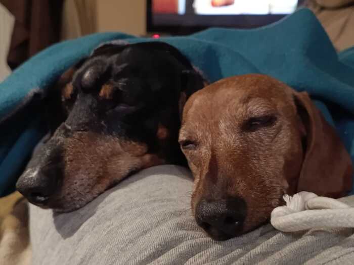    &quot;,   ,   &quot;