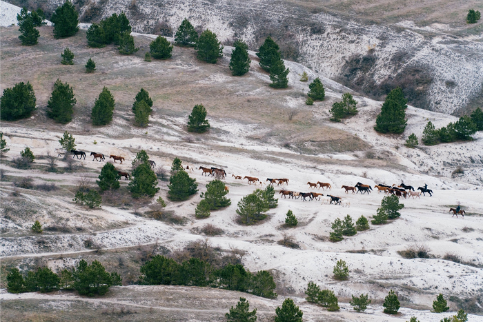 :    <a href="https://pikabu.ru/story/vecherniy_vyigul_tabuna_pered_snom_13452633?u=https%3A%2F%2Frtraveler.ru%2Fphoto%2F1479724%2F%3Fnew_photos%3D1&t=%D0%BE%D1%82%D1%81%D1%8E%D0%B4%D0%B0&h=743c323285847d1f877ef25f3dbceb065fa2784c" title="https://rtraveler.ru/photo/1479724/?new_photos=1" target="_blank" rel="nofollow noopener"></a>