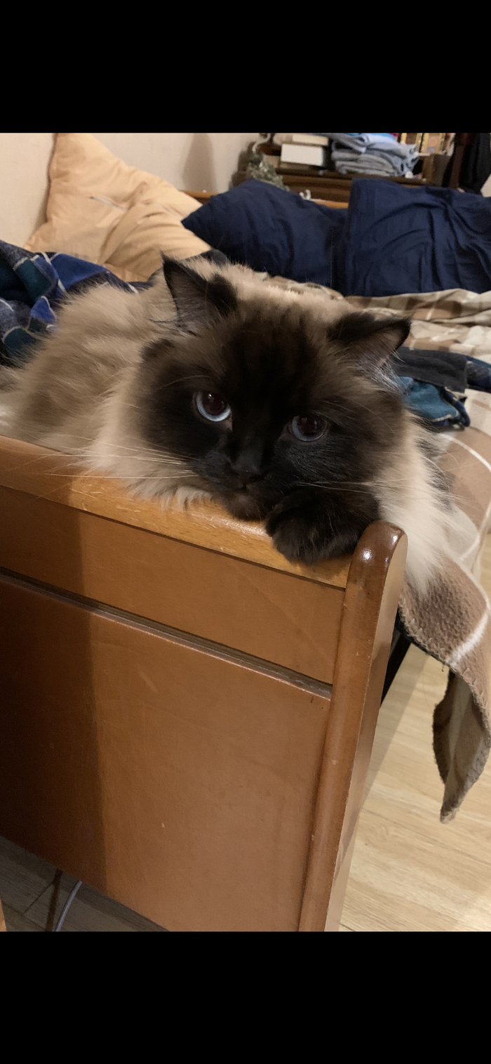  WinterCuter  &quot;,   ,  &quot;