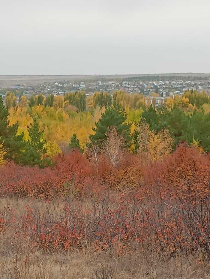 Котово, Волгоградская область. Кто оттуда, забирайте фоточку
