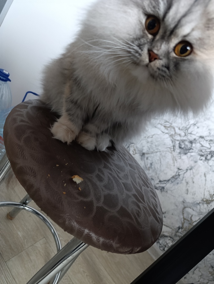 Хлеб очень свежий был