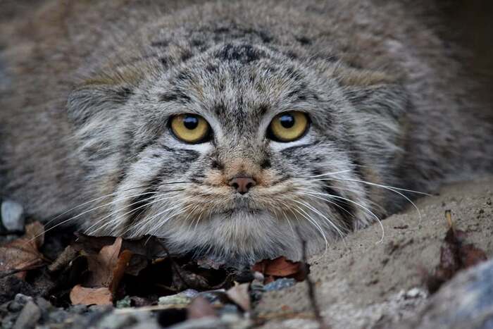 Хорошие новости!