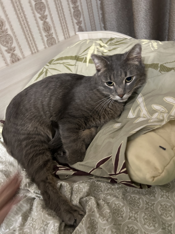 ����� �� ���� ������������, ��� �� ����������, ������� ���� ����