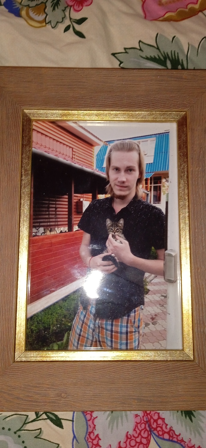 Ответ на пост «"Подтвердите, что Вы пикабушник, фото кота"»