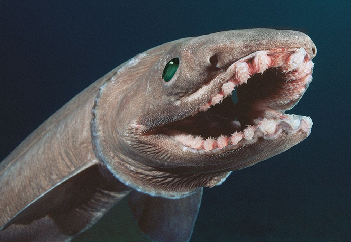 Хотя она может показаться на других фотографиях милой