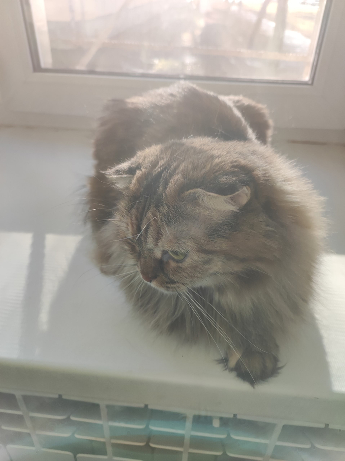 Греем жёппь