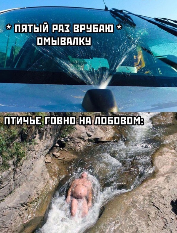 ��������)