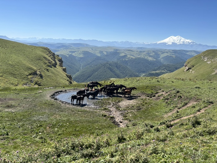   .  ,     .      .     -     .