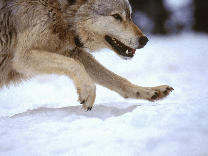         810 /   10  !      80100    ,          .