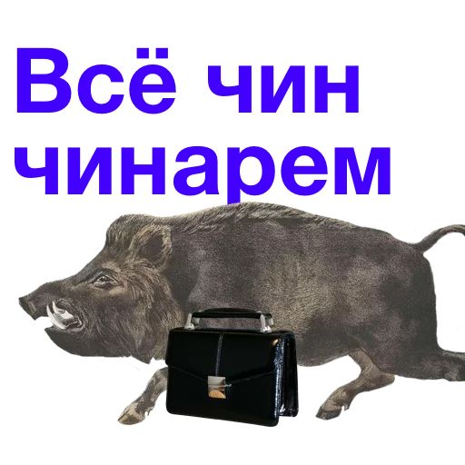 Когда, наконец, нашел вход на выставку игр