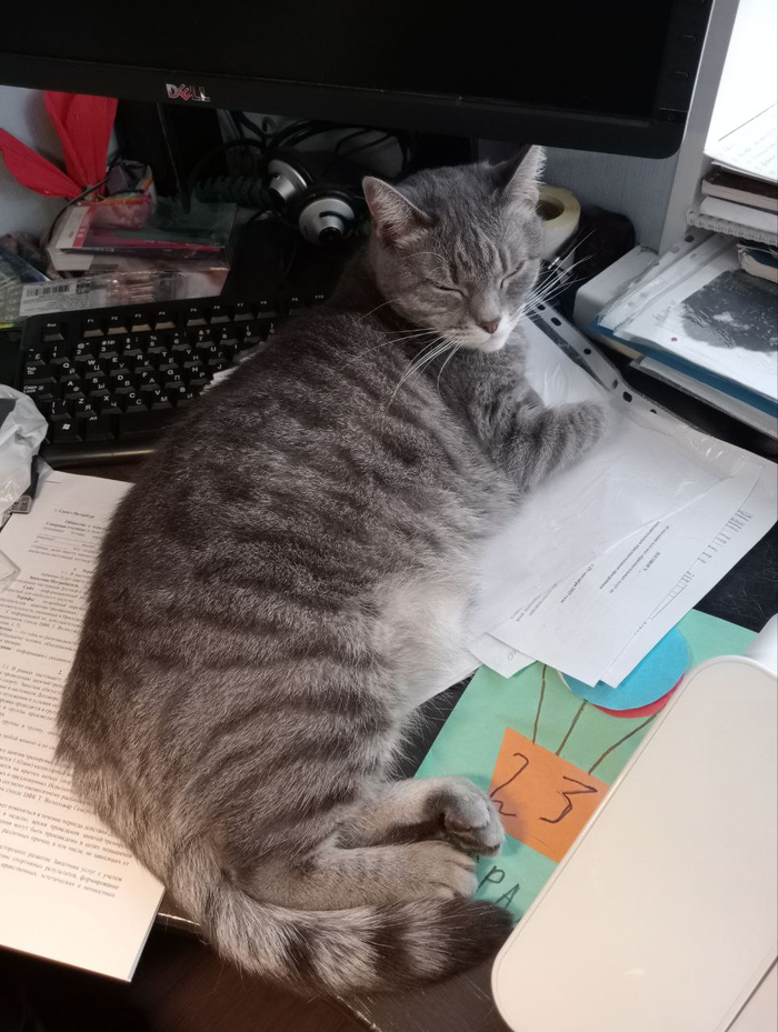 На рабочем месте...