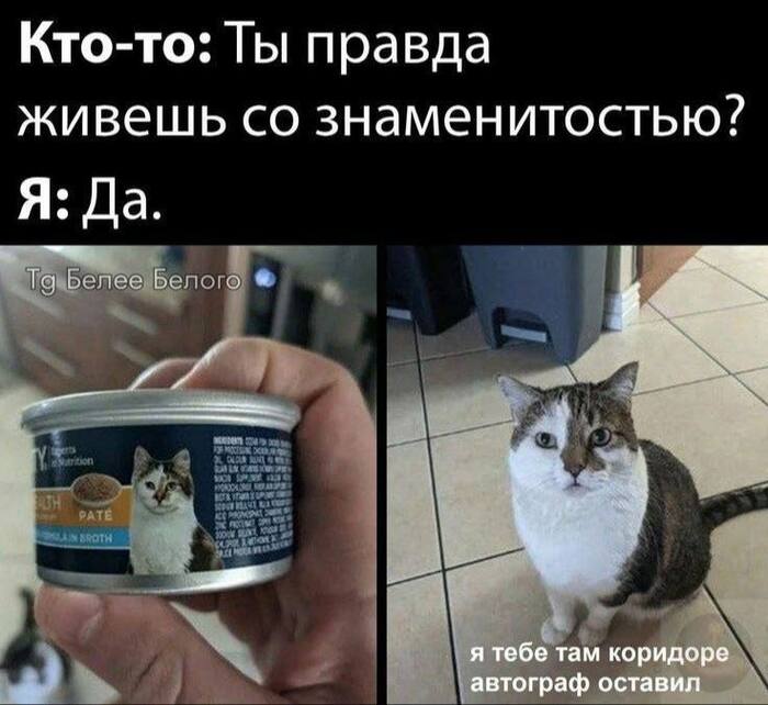 <!--noindex--><a href="https://pikabu.ru/story/kak_yeto__zhit_so_zvezdoy_13457672?u=https%3A%2F%2Ft.me%2Fbeleebelogo%2F17785&t=https%3A%2F%2Ft.me%2Fbeleebelogo%2F17785&h=d01e30dc41f5ed1ca8dc97f0a5e6d88f15418572" title="https://t.me/beleebelogo/17785" target="_blank" rel="nofollow noopener">https://t.me/beleebelogo/17785</a><!--/noindex-->