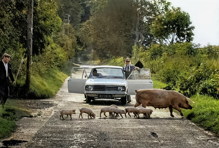 Фотограф: Elliott Erwitt