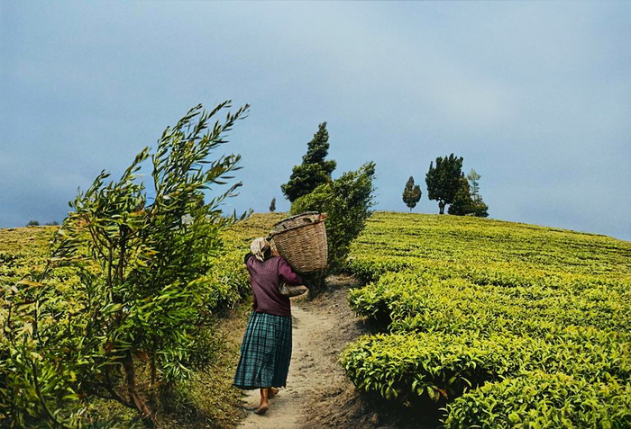 Фотограф: Себастьян Сальгадо