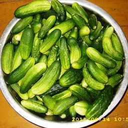 tazikogurcov