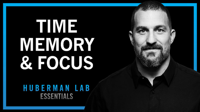 ГУБЕРМАН ПРО ВНУТРЕННИЕ ЧАСЫ: КАК ПОСТРОИТЬ ДЕНЬ, ЧТОБЫ ЕГО ЗАПОМНИТЬ