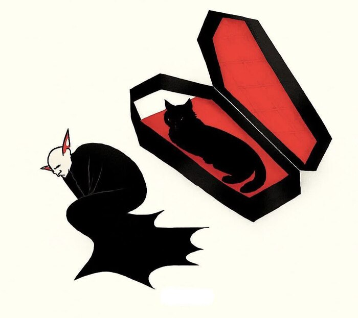 Все любят котиков