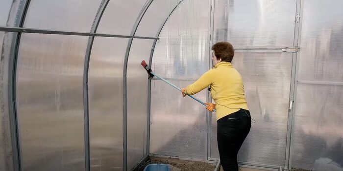 ���������� ���������� �����������.