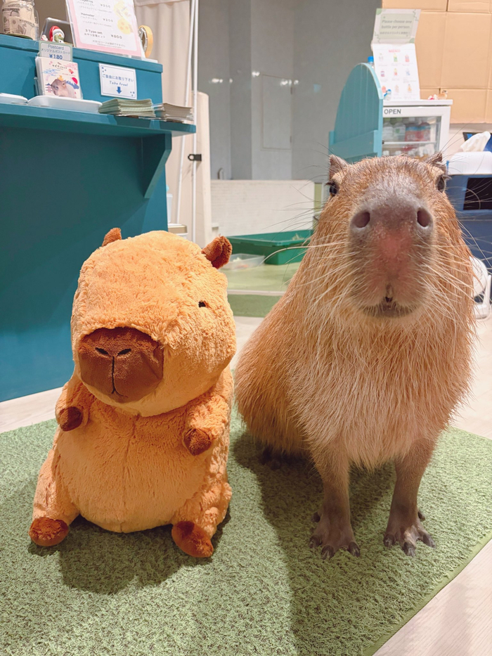 Заказчик доволен ^_^