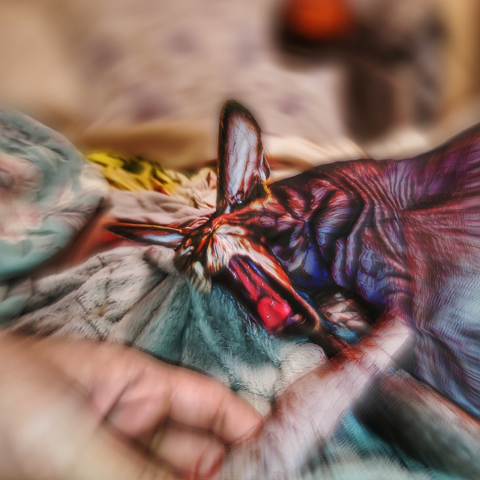 Кошачье "Нечто"