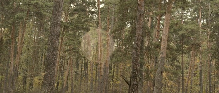 Generation Pi. " ,   "