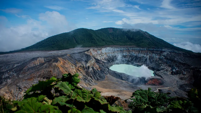      ,       ,   -.( : Nano Calvo/VWPics/Universal Images Group  Getty Images)