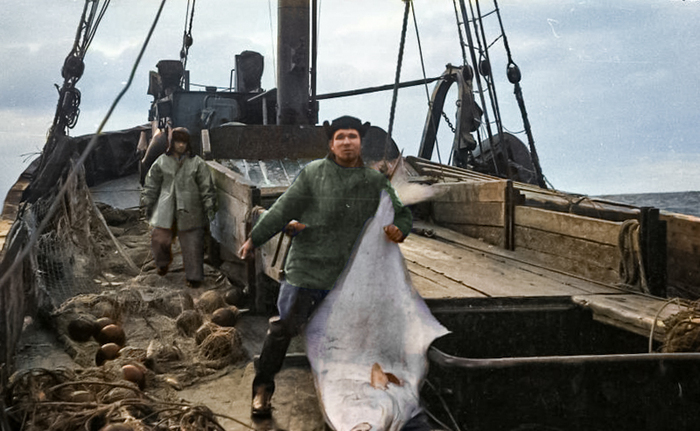 Фотограф: Садовников Юрий